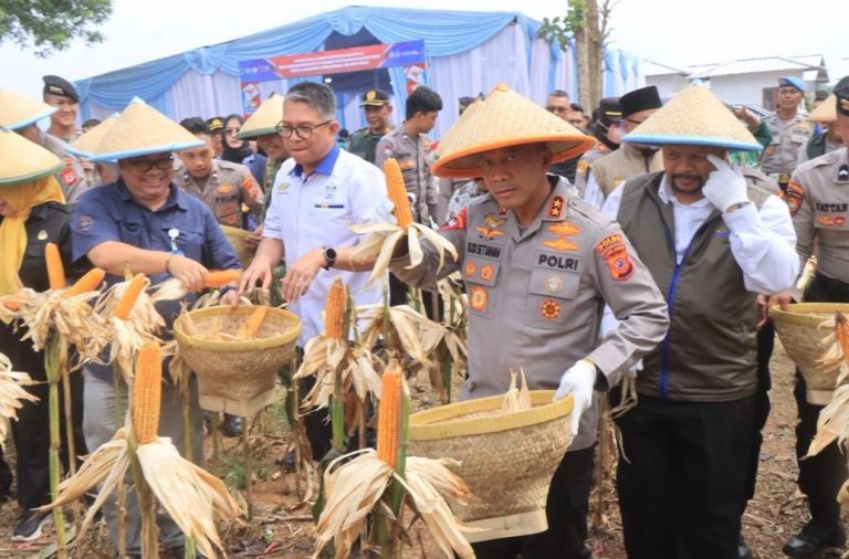 12.000 Hektare Lahan Terkelola, Kapolda Jabar Dorong Jagung Lokal untuk Perkuat Ketahanan Pangan dan Kesejahteraan Petani
