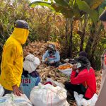 Polrestabes Bandung Perkuat Dukungan Ketahanan Pangan Nasional Melalui Monitoring Panen Jagung Bersama Petani