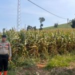 Polrestabes Bandung Perkuat Sinergi Bersama Masyarakat dalam Mendukung Ketahanan Pangan Nasional
