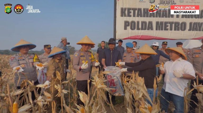 Panen Raya Jagung Kuartal I 2026 di Cikarang Pusat, Polres Metro Bekasi Perkuat Komitmen Ketahanan Pangan Nasional, Siapkan Panen Bertahap hingga 50 Hektare